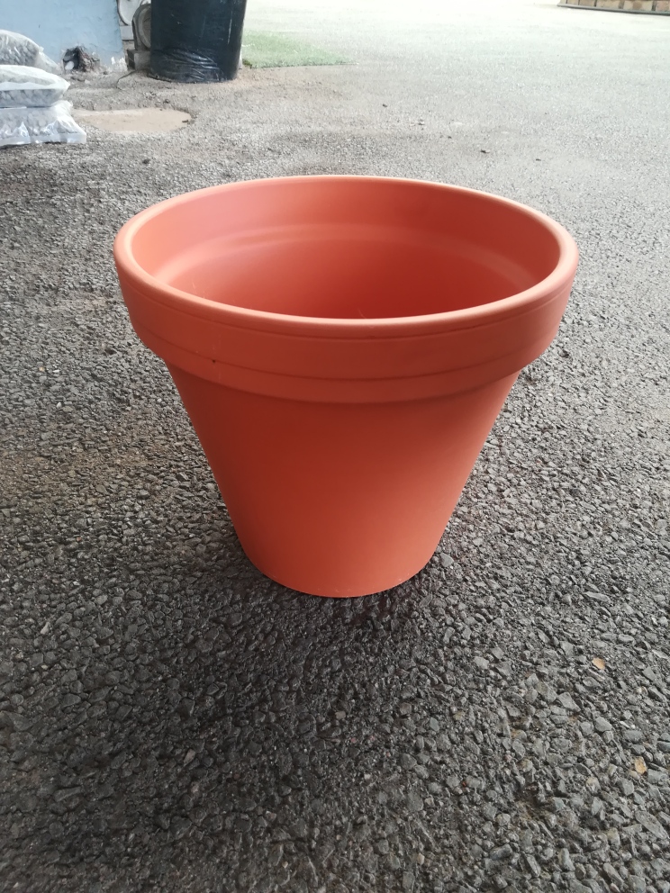 547291.jpg